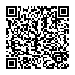 一抓住赵半仙顿时那只手便开始疯狂的伸出了一道道的白森森的手骨二维码生成