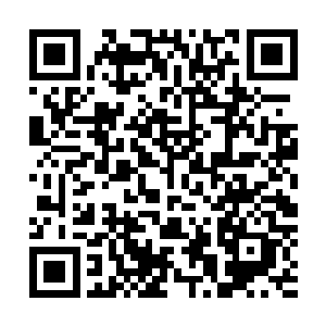 一拳把刚刚恢复向着这里卷动的巨蛇尾巴再一次轰击了回去二维码生成