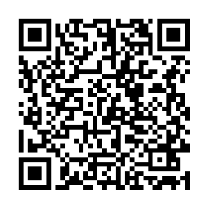 一支残缺不全的蛮族队伍忽然出现在杨开的视野之中二维码生成