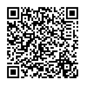 一旁亦是满脸笑意的月璃自然是不会放过东方青妍这难得一见的投怀送抱二维码生成