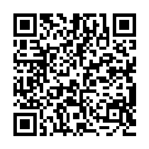 一旁和九妖一样没啥精神的梅鲜灵懒洋洋的撇了他们一眼说道二维码生成