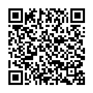 一旁正在看着罗盘指引方向的九叔目光不经意刮过林一峰二维码生成