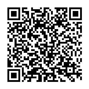 一旁的流墨墨虽然被绵老刻意控制没在威压的范围内没直接接触到二维码生成