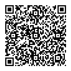 一旁的温宝儿把流墨墨吩咐后拿出来的一堆玉盒和一个玉简收进了自己的衣袖里乖巧的泡了杯灵茶然后站到一旁二维码生成