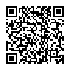 一旦他们脱困便意味着脱离地狱推翻佛主和青主的时机不远了二维码生成