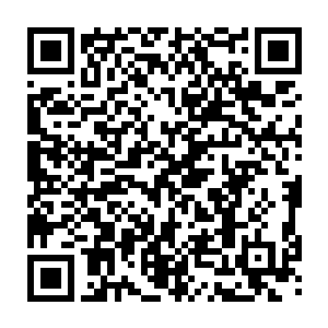 一旦你贡献出了三分之一的血液的话灵力和各项身体的指标都会迅速的下降二维码生成