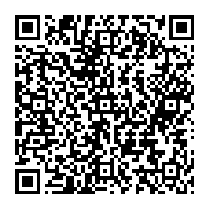 一旦创世界主自行破坏了这个世界的最初规条……那么他就将永远失去对这个世界的掌控力……二维码生成