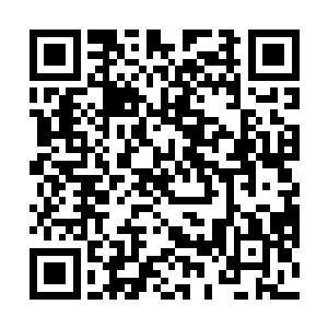 一旦暗星族太尊的精血力量完全占据了圣羽的整个身躯二维码生成