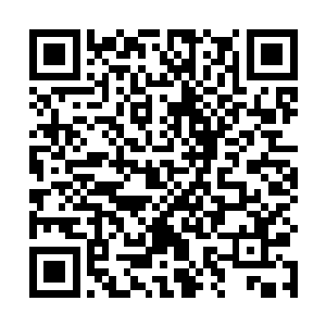 一旦给他们逮到了机会反击……那边是万劫不复的境地二维码生成