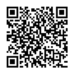 一旦这些力量凝聚在一起所爆发出的威力恐怕会瞬间将三界摧毁二维码生成