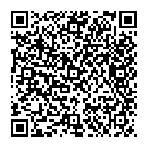 一早上醒来就看到偶像的笑脸实在是非常梦幻的一件事――by翻了个身正好整张脸对上奥利维亚照片的塔塔林二维码生成