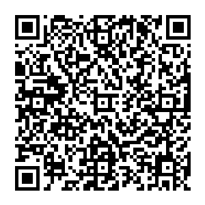 一时之间我几乎能够清晰的感知到自己识海之中轮回古咒所化的祭台发出了一股股耀眼的光芒的二维码生成