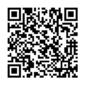 一时半刻南诏就算与定王府交恶也不能对他们怎么样二维码生成