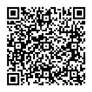 一时间一股股强大的圣灵威压和一阵阵充满了怒意和压迫感的怒吼也是响彻了整个天地二维码生成