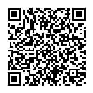 一本正经的给她讲解这次欧洲之行的原因以及他们所要完成的任务二维码生成