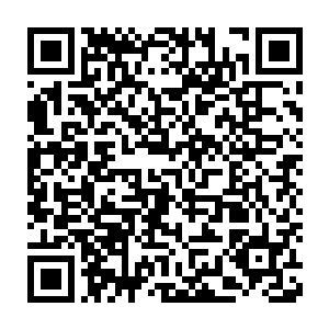 一本残缺不全的炼气诀和一块黑黝黝书页般大小的不知名金属片之外二维码生成