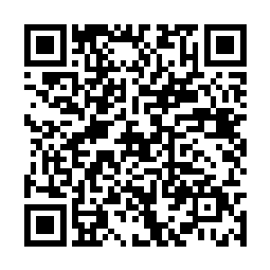 一朵淡淡的剑气荷花在赵无涯的手下开始慢慢形成二维码生成