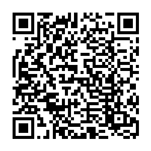 一条如水中皇带鱼一样的十多米长的蓝色的冰之天罡出现在前面百多米的地方二维码生成