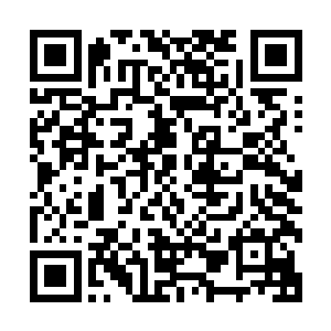 一条手指粗的血色锁链悄无声息的从他后方虚无的海水中出现二维码生成