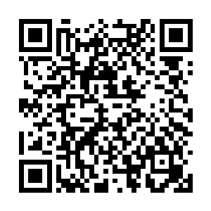 一条木质的往下延伸的台阶就出现在了我们的面前二维码生成