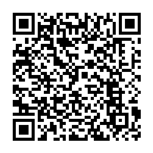 一条条僻静小路在绿林中纵横交错然而最引人注目则一条小路尽头二维码生成