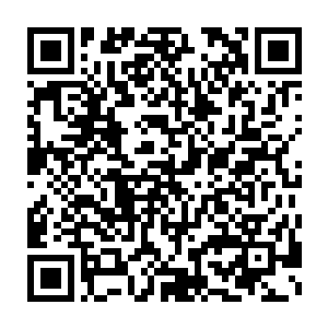 一条条杀气凝成的魔龙都已经从淡淡的血色变成了像是拥有实体的龙族二维码生成