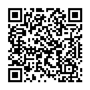 一条条狰狞可怖的脉络在我的身上盘旋成了无数条虬龙二维码生成