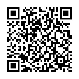 一条条黑色的类似线条一样的筋脉在多多的脸上显现出来二维码生成