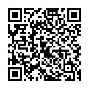 一条满是泥沙的浑浊小河艰难的辗转于临近枯黄时节的森林边缘二维码生成