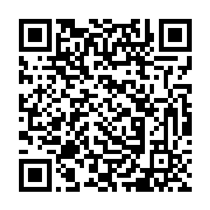 一来剩下的海域相比较他现在掌握的实在是不值一提二维码生成