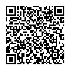 一来因为剑气诀的局限性就算是使用王级食灵珠增幅效果也不会很明显二维码生成