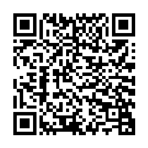一枚玄黄圣果的价值比刚才的混元天罗伞不知道恐怖了多少倍二维码生成