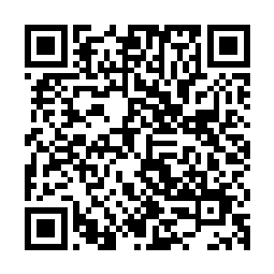 一枚符印的价格就是一枚法相九重身的兽核加200法相丹的手续费二维码生成