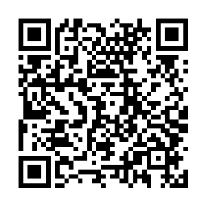 一架民用的小型螺旋桨飞机从空地的上空飞了过去二维码生成
