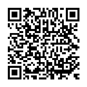 一根粗壮的面疙瘩在他的手中快速的变成了一根根细长的拉面二维码生成