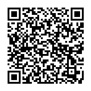 一桌子人看着小表弟跟个小肉球子似的在桌子上瞎忙活都忍俊不禁的笑起来二维码生成