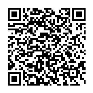 一次又一次的念叨让众人的神色这会儿都变得有些举棋不定了起来二维码生成