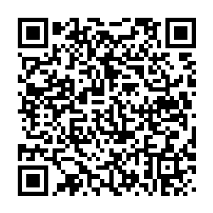 一次大规模的战役计划从1944年9月底开始在德军最高统帅部秘密地策划二维码生成
