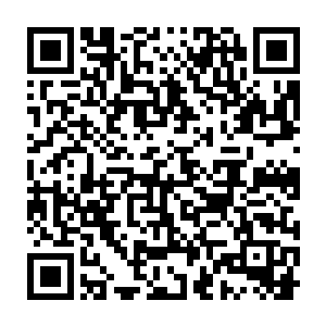 一次性的卖出五百吨的鱼就相当时放弃了三分之一的市场价格增长红利二维码生成
