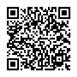 一次碰撞让楚暮清楚的感觉到自己和这头狼魔之间的实力差距二维码生成