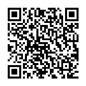 一款系统同时支持市面上市场占有率最大的三款系统专门的软件二维码生成
