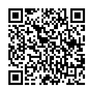 一片有一片整齐有序的瓦片在木头架子井井有序的排列着二维码生成