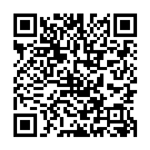 一片片一道道淡蓝色的海水在海风的作用之下轻轻的卷动着二维码生成