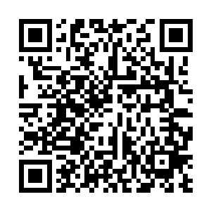 一片苍翠的树叶在张铁经过树下的时候从树上凋落下来二维码生成