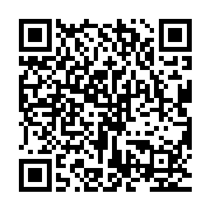 一生……也不再要有任何波折侵扰……她在这些年所承受的侵扰二维码生成