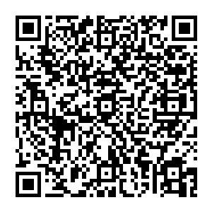 一番整顿　率领无正本部落的族人　纷纷飞向了天险山脉　而在此时　他们的轰击也到了最关键的一刻二维码生成