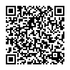 一百一百一百一百……当苏落连续不断爆出五十个一百分时……景圆傻掉了二维码生成