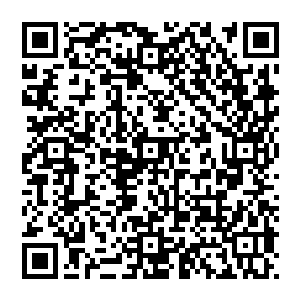 一直以放荡不羁的形象出现在所有人面前的莎柏琳娜也没有预料到这次来到地下的行程会遭遇到这样的凶险二维码生成