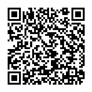一直到这一次孙震很明确的告诉他将会由他去接替魏宜康担任古庆县委书记二维码生成