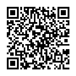 一直到这个剧本结束后他们去看补充剂的相关说明才明白缘由二维码生成